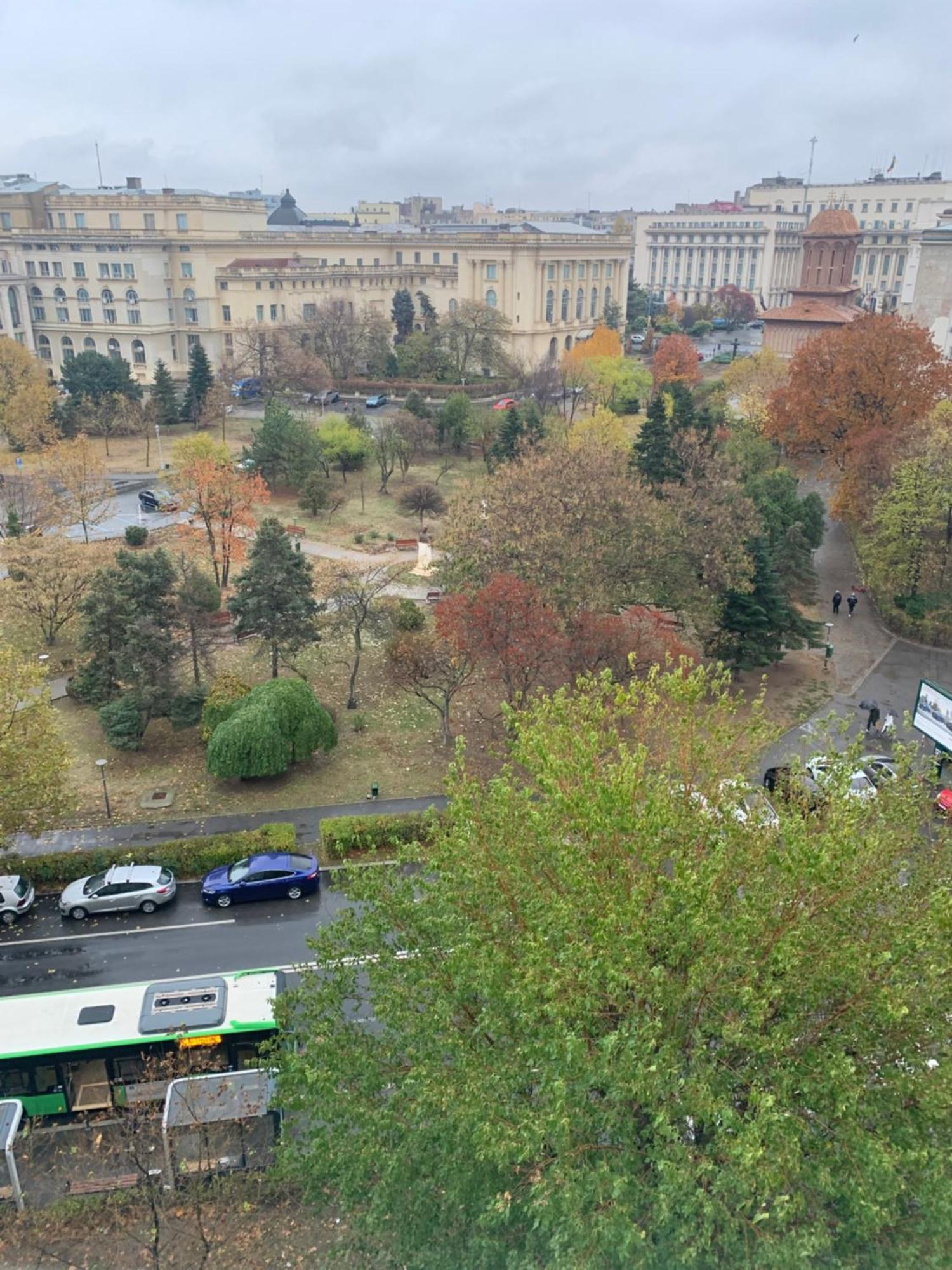 Green Muse On Victoriei 布加勒斯特 外观 照片